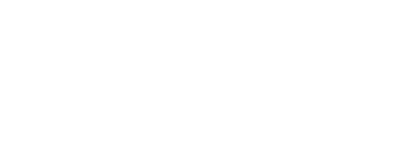 IP Resolution
